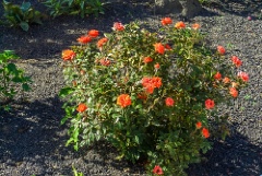 CIMG0627