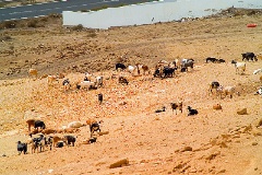 pict0085