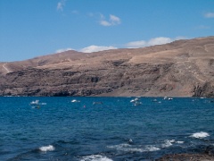 PICT0008-2