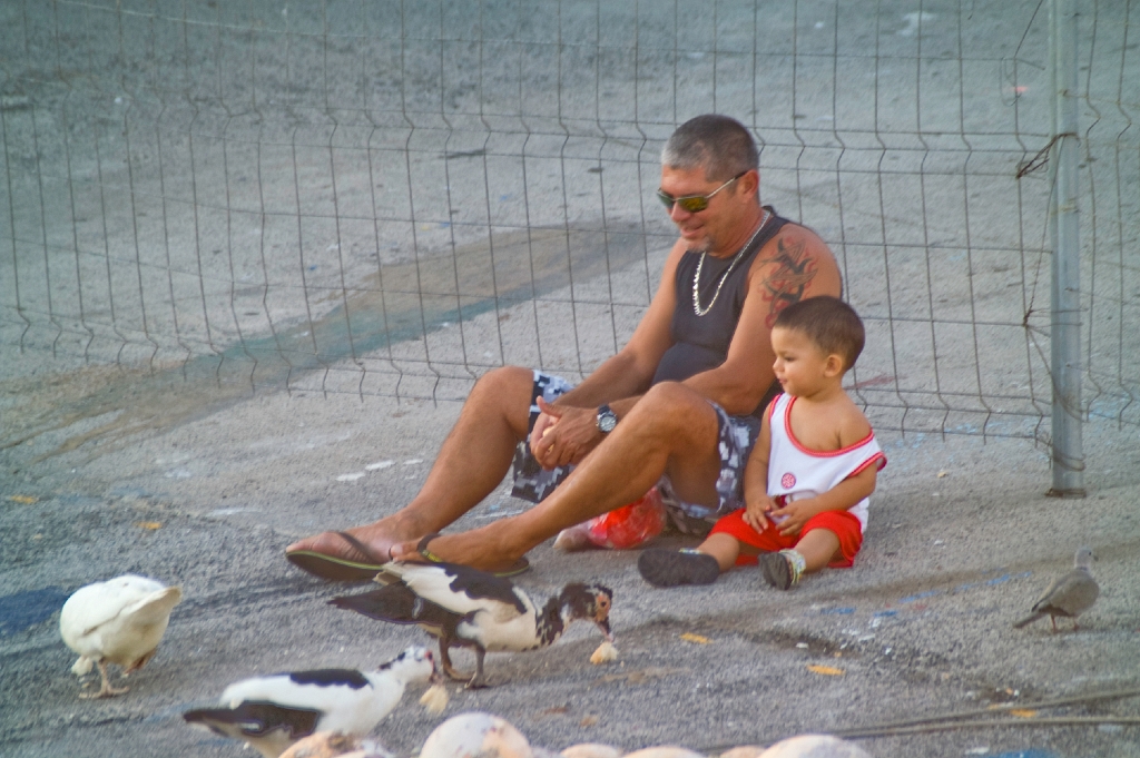 031009_1063.jpg -  Abuelo y nieto en Puerto Viejo