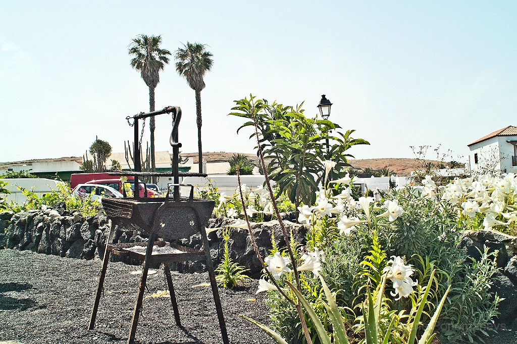 20110515_OLGA_1447.jpg - Mercadillo en Teguise
