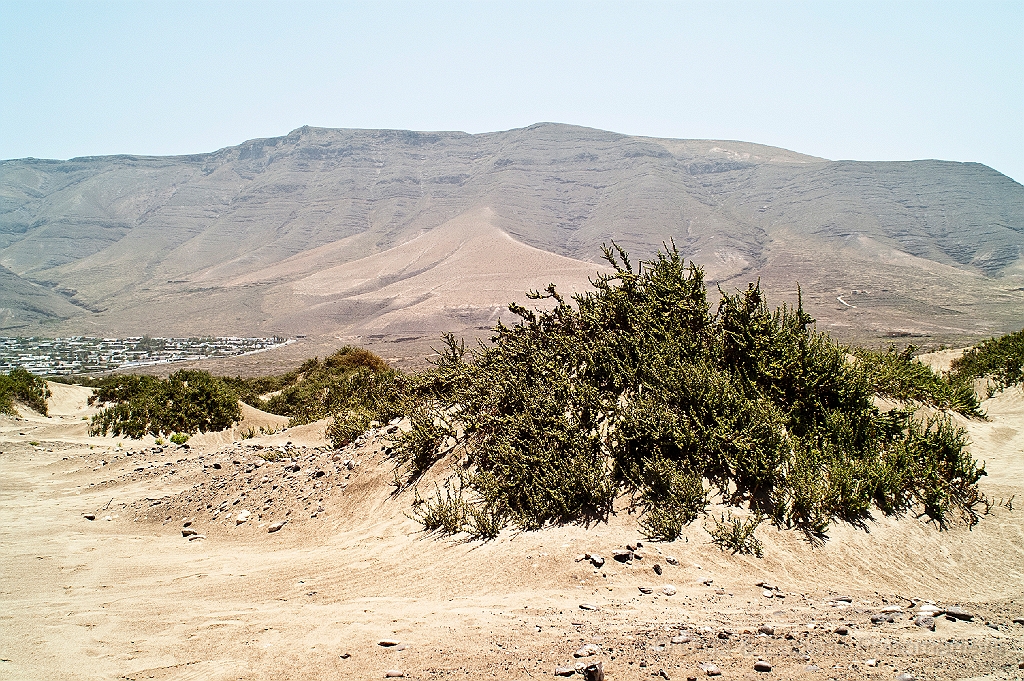 20110515_OLGA_1465.jpg - La Playa Famara