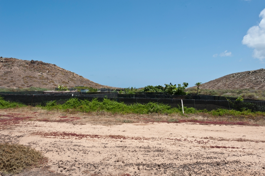 20110518_EUGENE_0512.jpg - La Graciosa, la excursión en jeeps. 