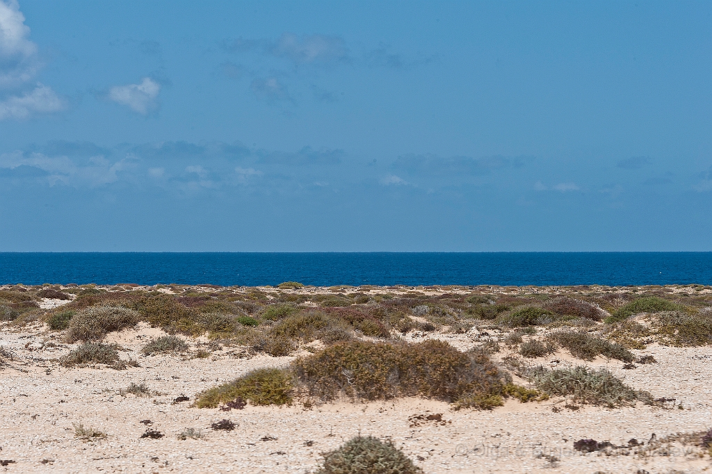 20110518_EUGENE_0531.jpg - La Graciosa, la excursión en jeeps.