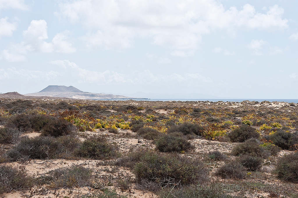 20110518_EUGENE_0561.jpg - La Graciosa, Playa de los Conchas.