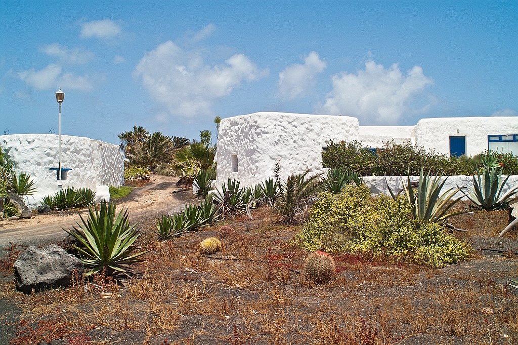 20110518_OLGA_1091.jpg - La Graciosa. Pedro Barba