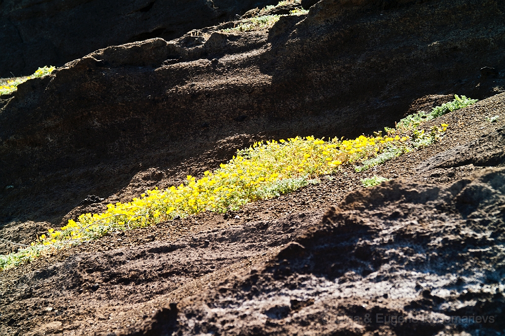 20110521_OLGA_1827.jpg - La Laguna Verde
