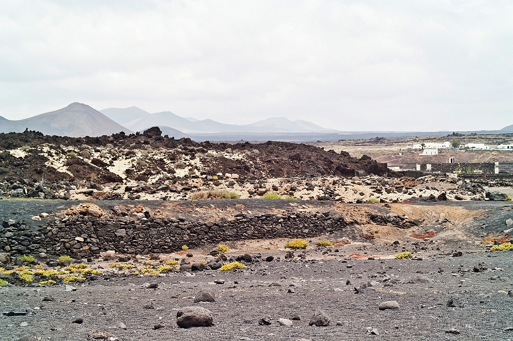 20110521_OLGA_1879.jpg - El Golfo