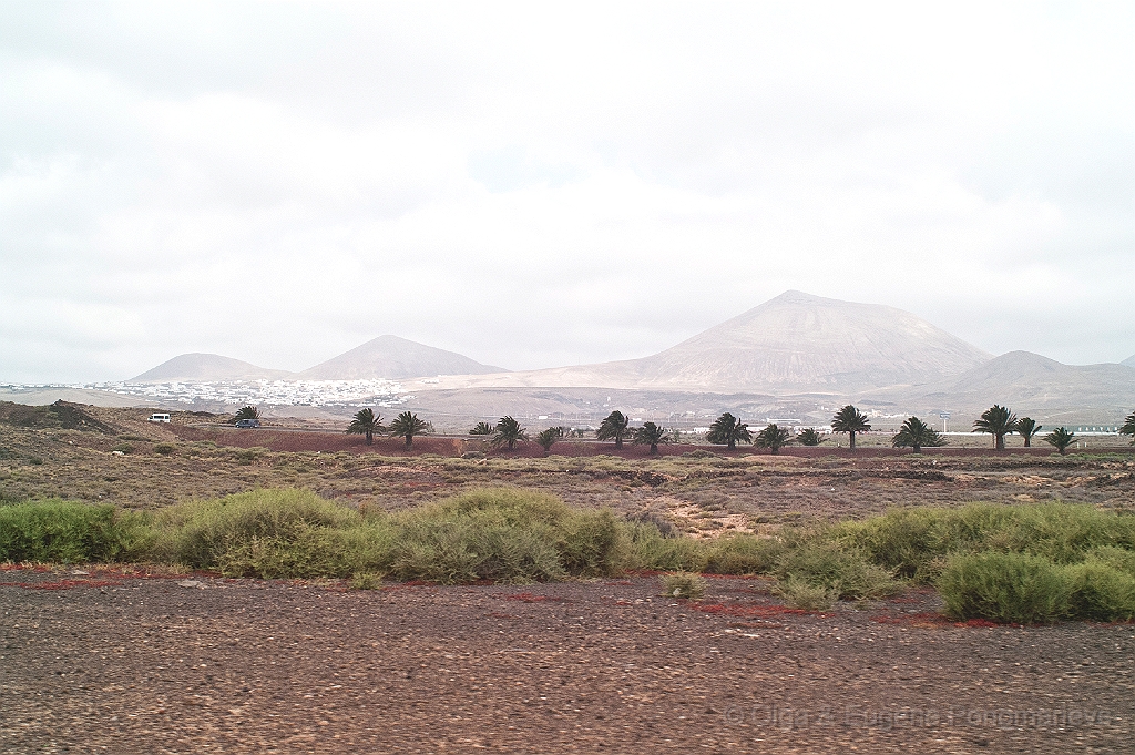 20110522_OLGA_1583.jpg - Aire de Lanzarote