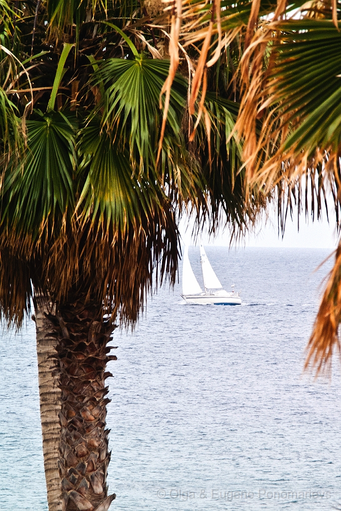 20110522_OLGA_1597.jpg - Puerto del Carmen. Av. De las Playas