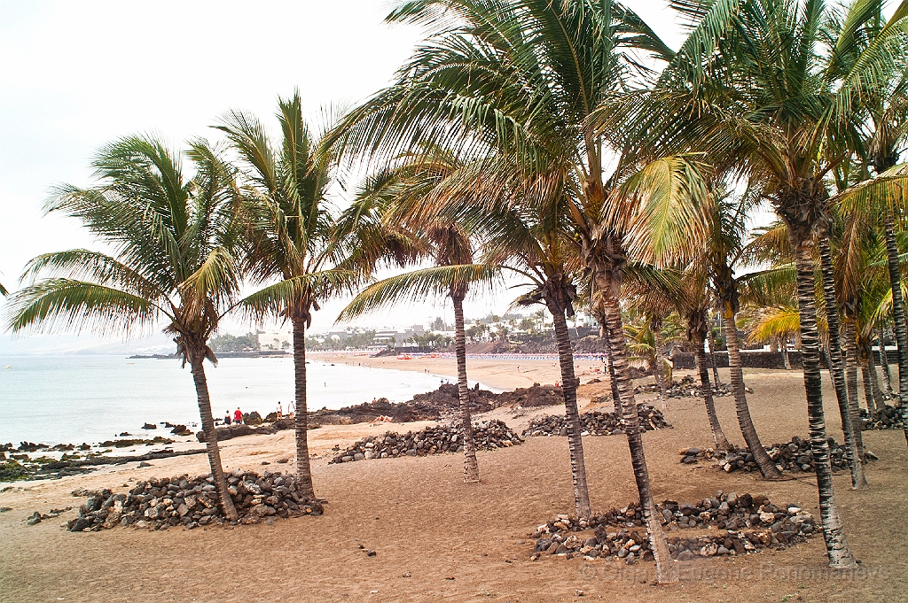 20110522_OLGA_1617.jpg - Puerto del Carmen. Av. De las Playas