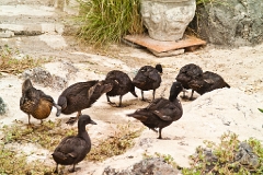 20110516_OLGA_1269