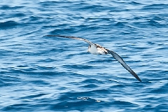 20110518_EUGENE_0308