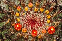 20110518_OLGA_1105