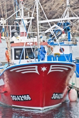 20110519_0844_SONY