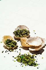 20110519_OLGA_0803