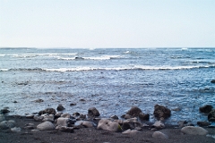 20110521_OLGA_1867