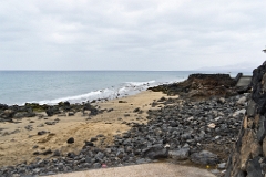 20110522_0657_SONY