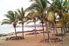 20110522_OLGA_1617