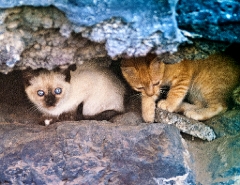 20110523_OLGA_1681