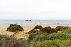20110525_0581_SONY