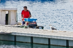 20110528_0488_SONY