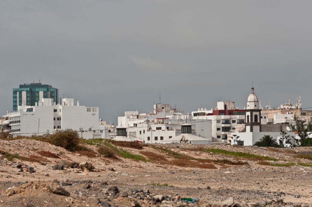 EUGENE20111002_DSC3307.jpg - Arrecife