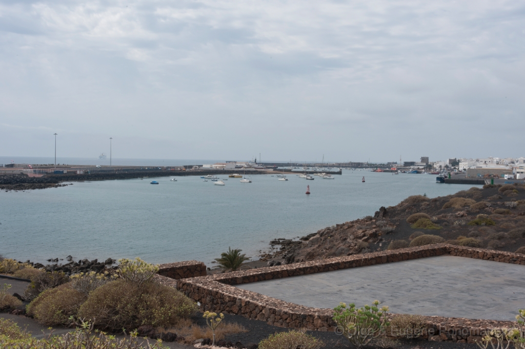 EUGENE20111002_DSC3308.jpg - Arrecife