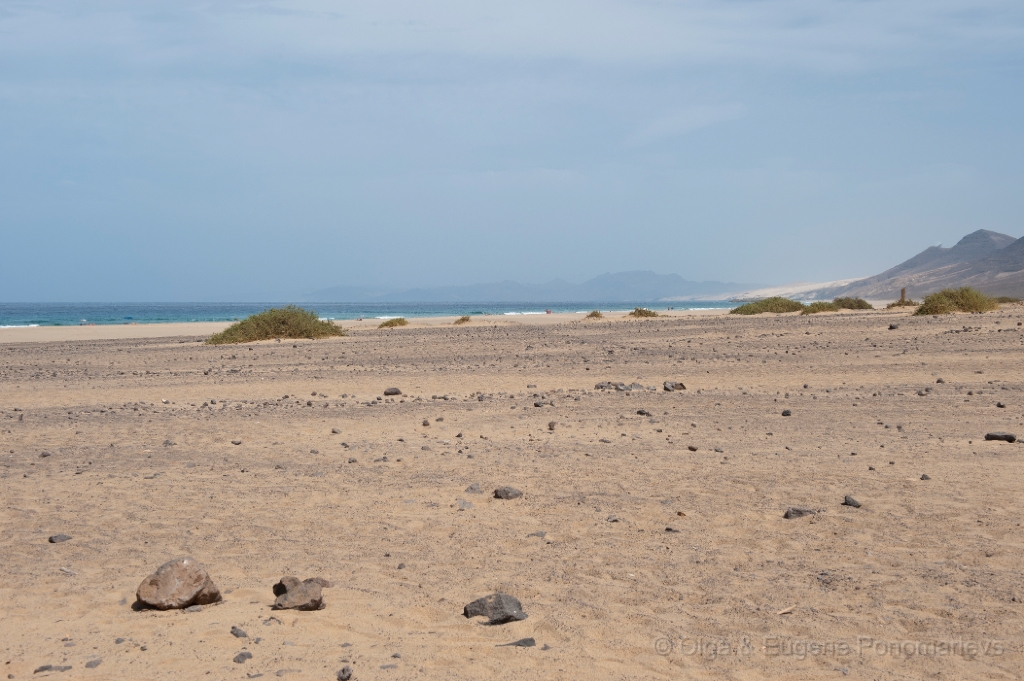 EUGENE20111004_DSC3470.jpg - Playa de Cofete.