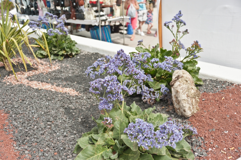 EUGENE_20110925_DSC3090.jpg - Mercadillo en Teguise