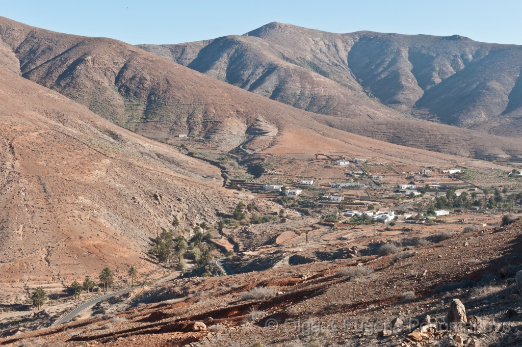 EUGENE20121008_DSC4692.jpg - Fuerteventura