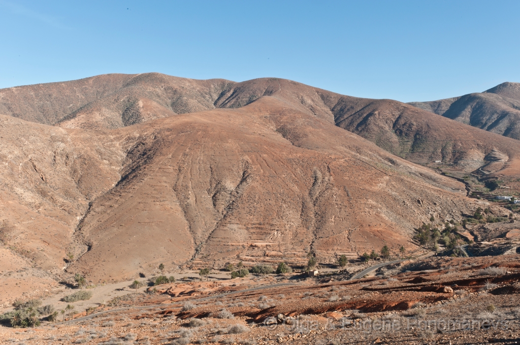 EUGENE20121008_DSC4693.jpg - Fuerteventura