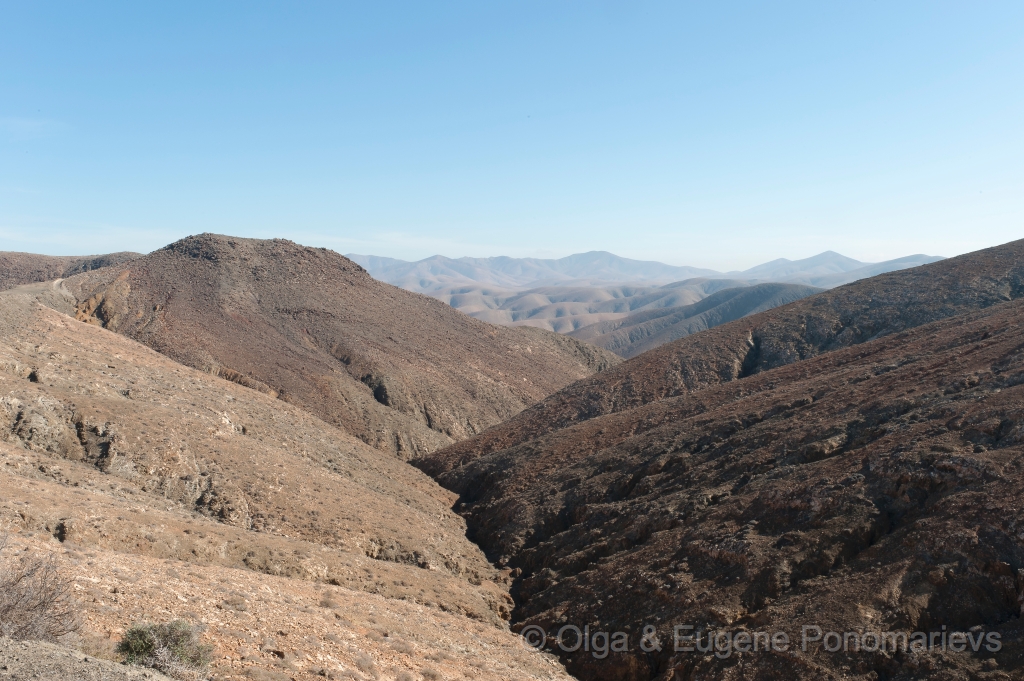 EUGENE20121008_DSC4705.jpg - Fuerteventura