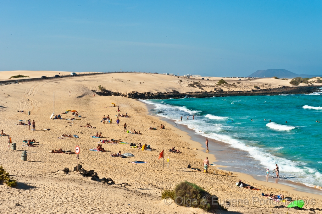 EUGENE20121008_DSC4771.jpg - La playa en Fuerteventura