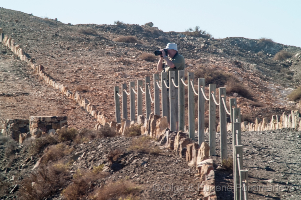 OLGA20121008PICT3839.jpg - Fuerteventura