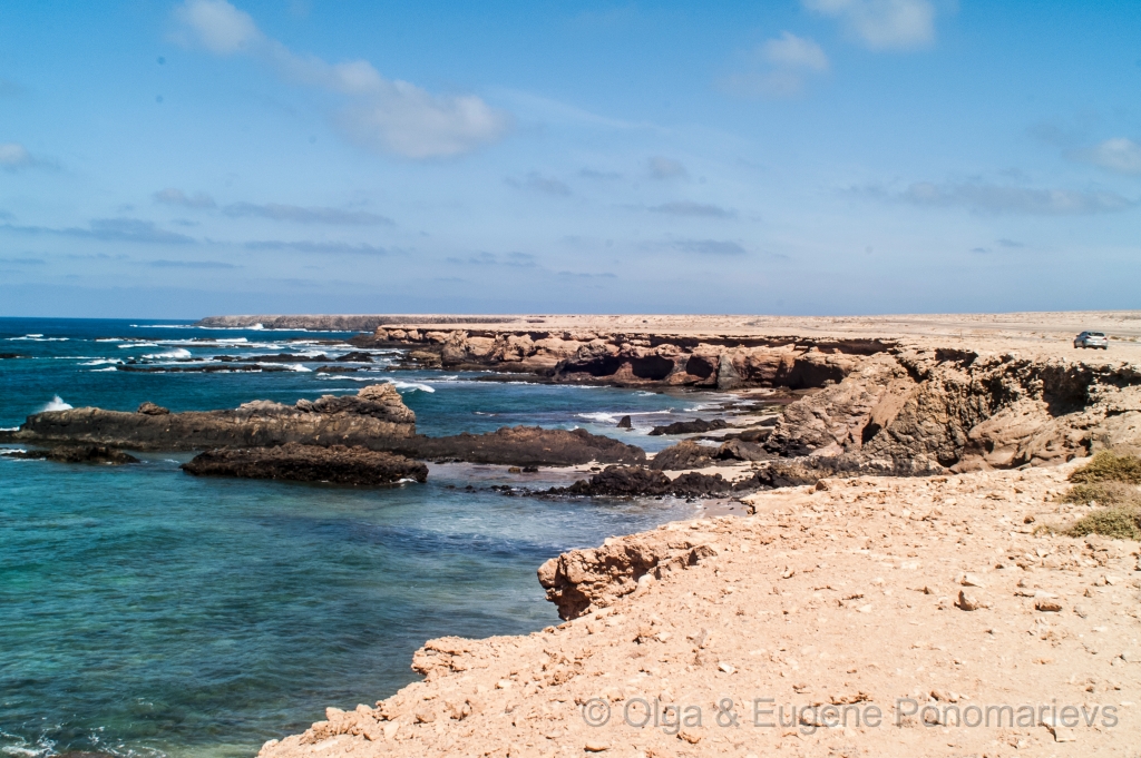 OLGA20121008PICT3912.jpg - Fuerteventura. Jandía.