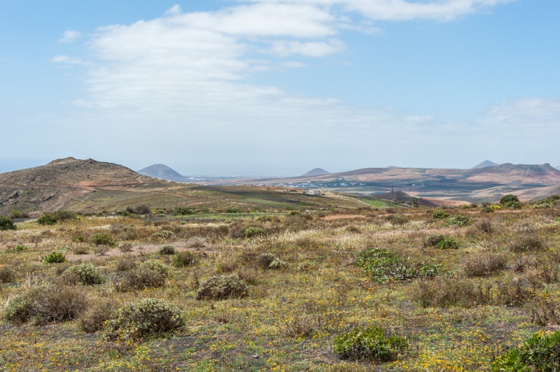EUGENE20130406_DSC5079.jpg - Parco eólico de los valles