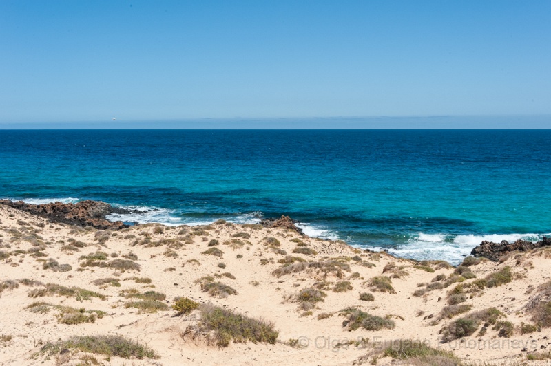 EUGENE20130410_DSC5278.jpg - Fuerteventura. Las dunas en FV-1