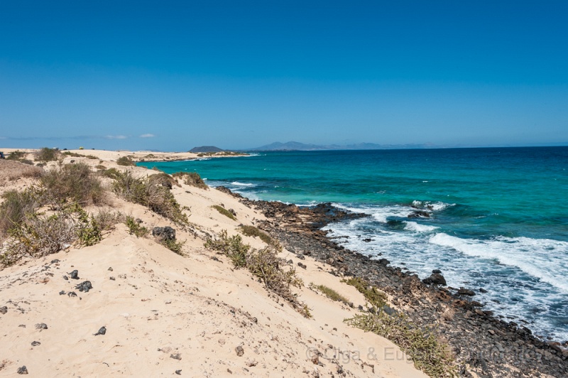 EUGENE20130410_DSC5290.jpg - Fuerteventura. Las dunas en FV-1