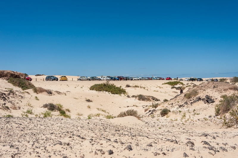 EUGENE20130410_DSC5291.jpg - Fuerteventura. Las dunas en FV-1