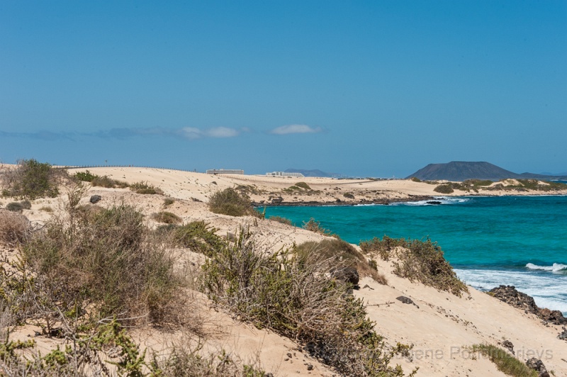 EUGENE20130410_DSC5292.jpg - Fuerteventura. Las dunas en FV-1