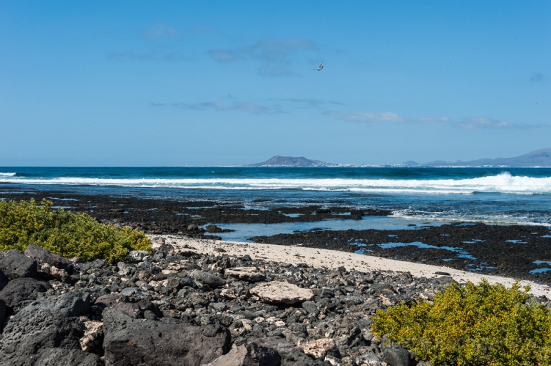 EUGENE20130410_DSC5331.jpg - Fuerteventura. Coralejo