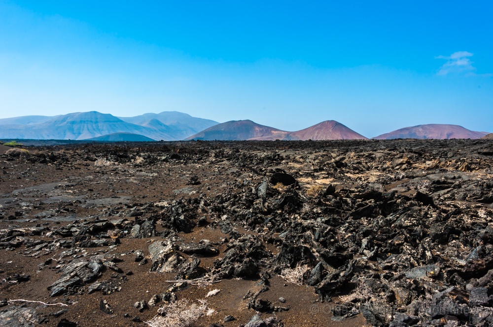 EUGENE20130902_DSC6860.jpg - Bajo su costra, casi solidificada continúa fluyendo lava fundida