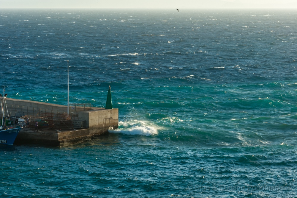 EUGENE20151016_DSC8815.jpg - El Temporal oceánico