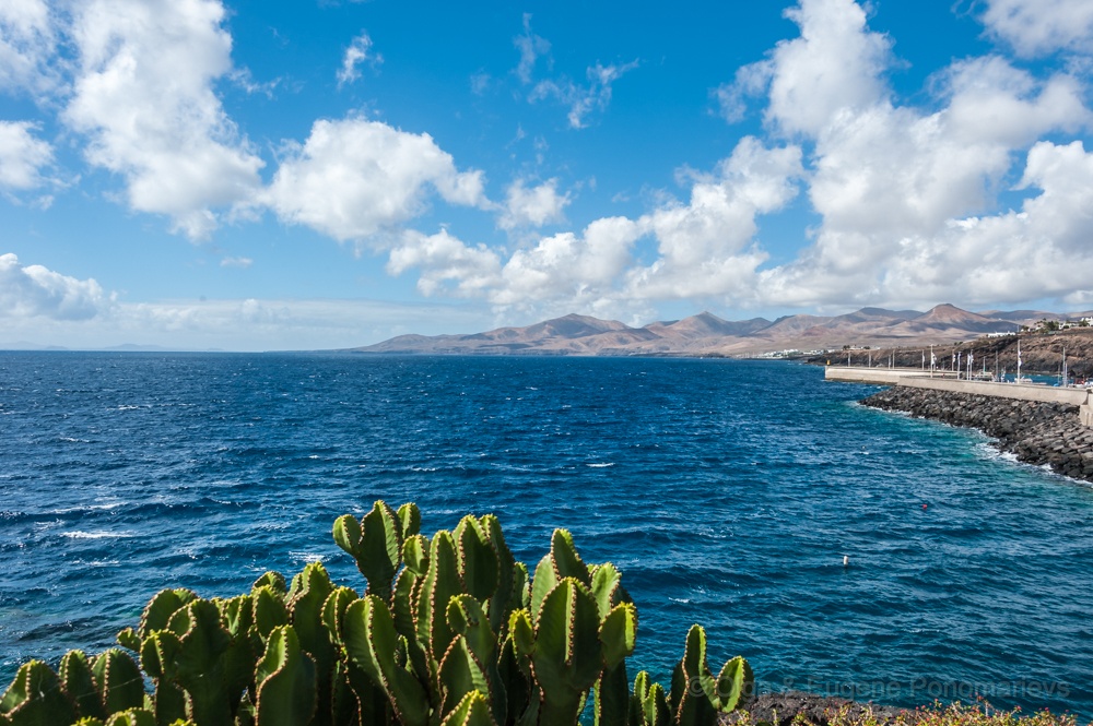 EUGENE20151018_DSC8960.jpg - La vista del restaurante Puerta Bahía
