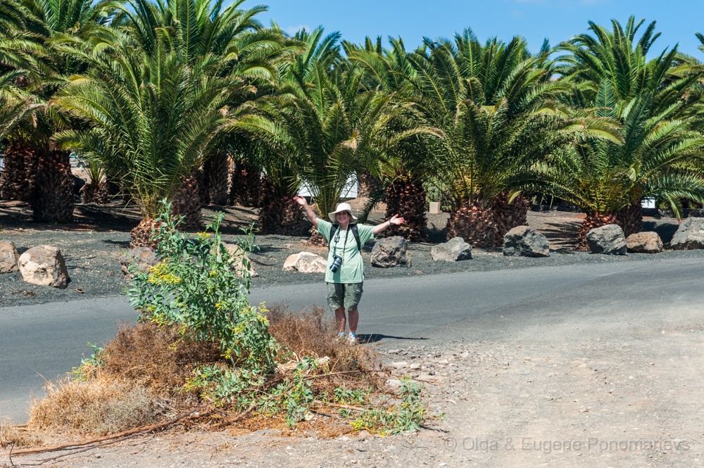 EUGENE20160930_DSC9744.jpg - El paseo pedestre de Puerto del Carmen a Puerto Calero