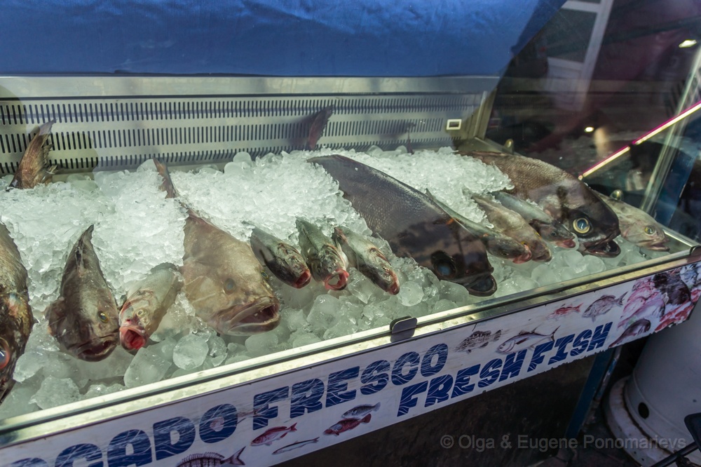 OLGA20181020_DSC3613.jpg - Pescado Fresco