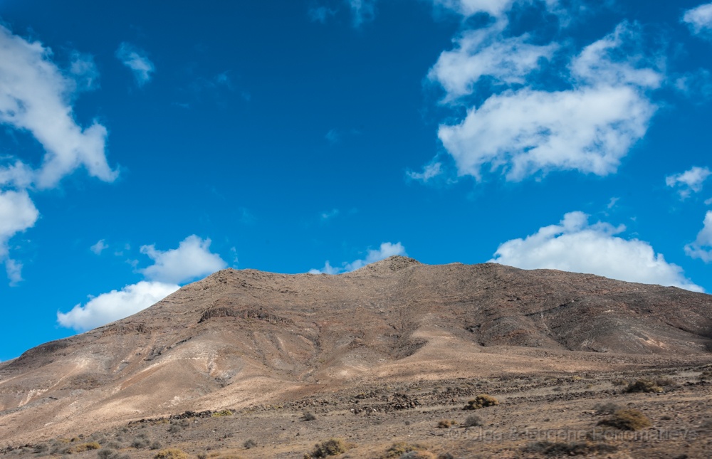_DSC1214.jpg - En Lanzarote