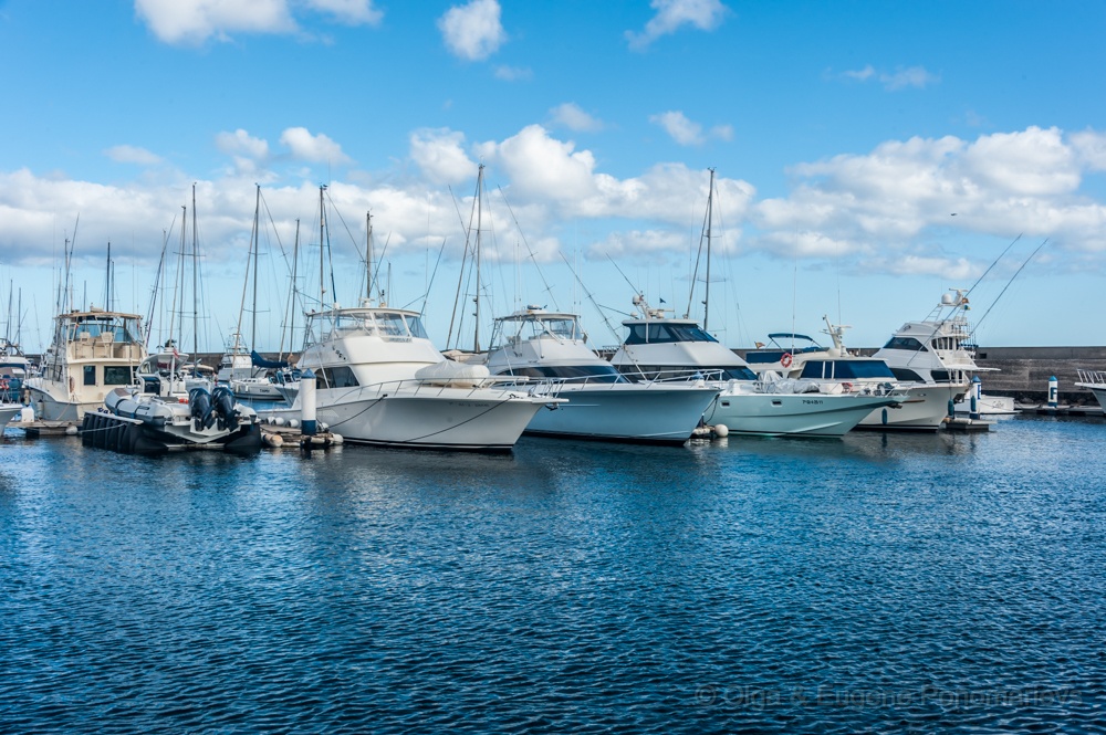 _DSC1235.jpg - Puerto Calero