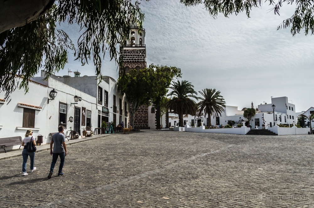 _DSC3967.jpg - Teguise en el día de trabajo